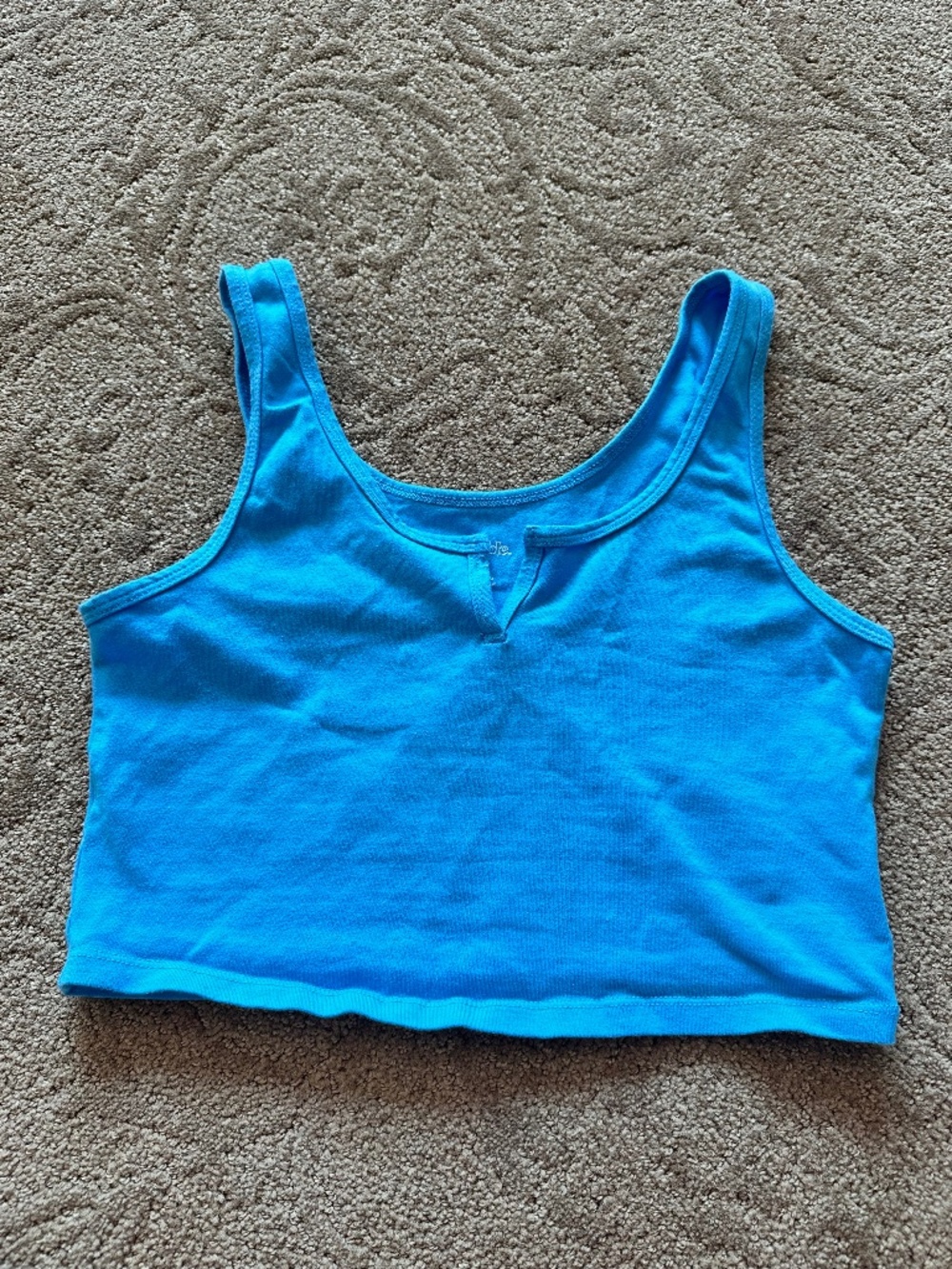 blue wild fable cropped tank